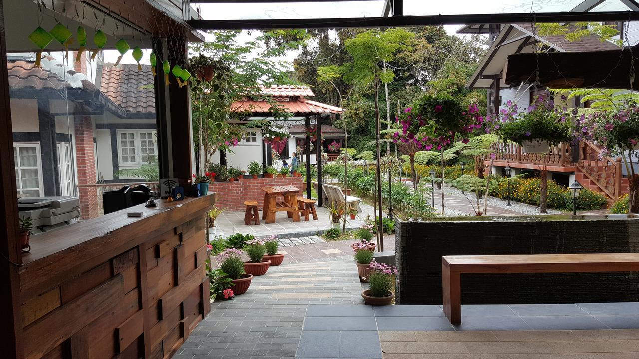 Casa Loma * Cameron Highlands